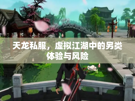 天龙私服，虚拟江湖中的另类体验与风险