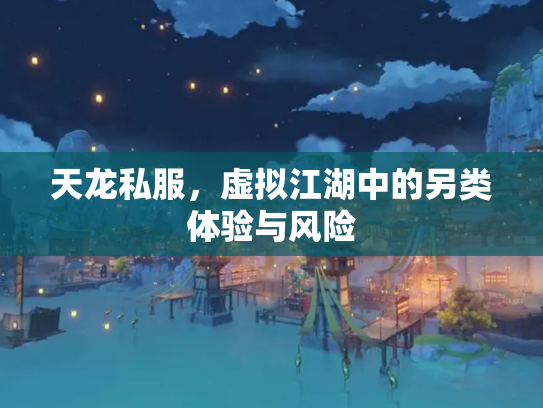 天龙私服，虚拟江湖中的另类体验与风险