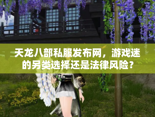 天龙八部私服发布网，游戏迷的另类选择还是法律风险？