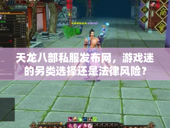 天龙八部私服发布网，游戏迷的另类选择还是法律风险？