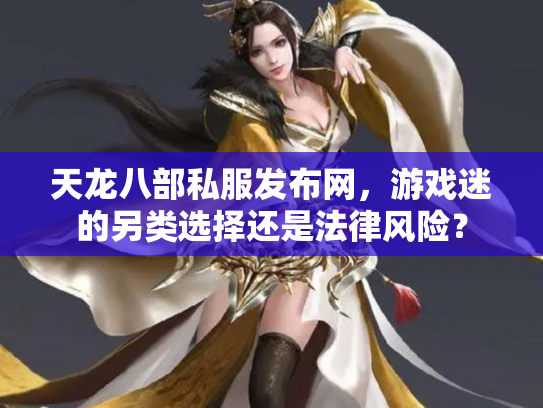天龙八部私服发布网，游戏迷的另类选择还是法律风险？