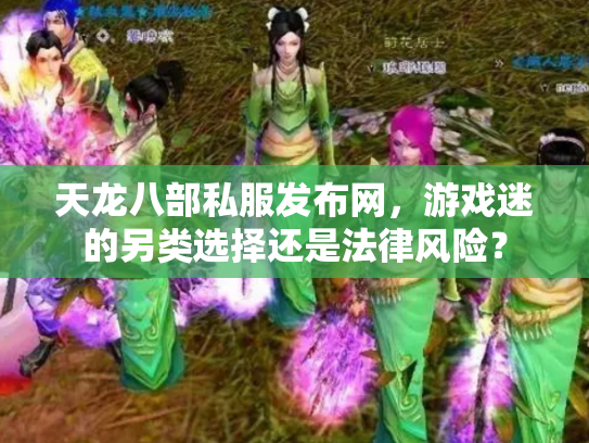 天龙八部私服发布网，游戏迷的另类选择还是法律风险？