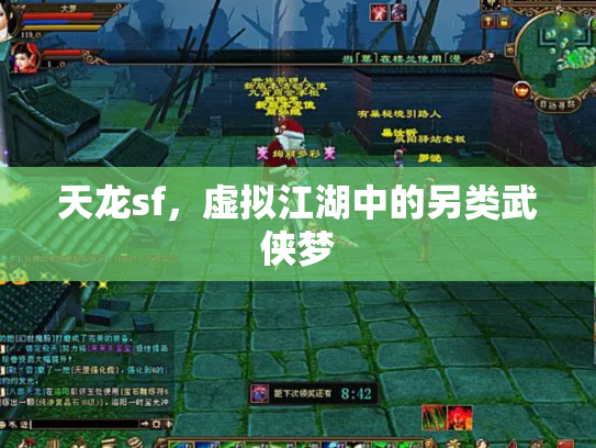 天龙sf，虚拟江湖中的另类武侠梦