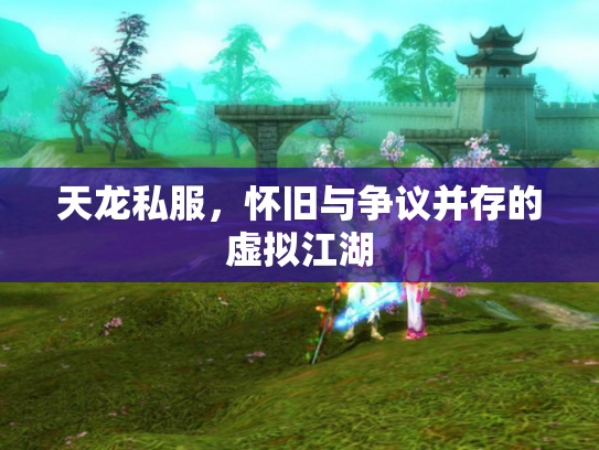 天龙私服，怀旧与争议并存的虚拟江湖