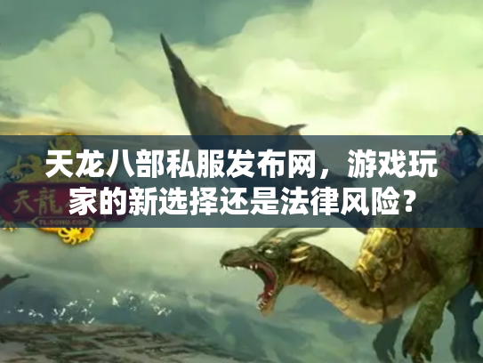 天龙八部私服发布网，游戏玩家的新选择还是法律风险？