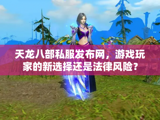 天龙八部私服发布网，游戏玩家的新选择还是法律风险？