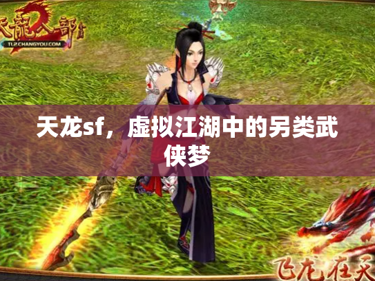 天龙sf，虚拟江湖中的另类武侠梦