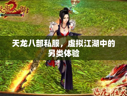 天龙八部私服，虚拟江湖中的另类体验