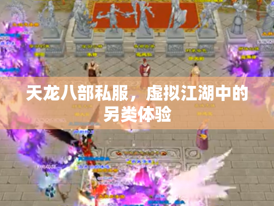 天龙八部私服，虚拟江湖中的另类体验