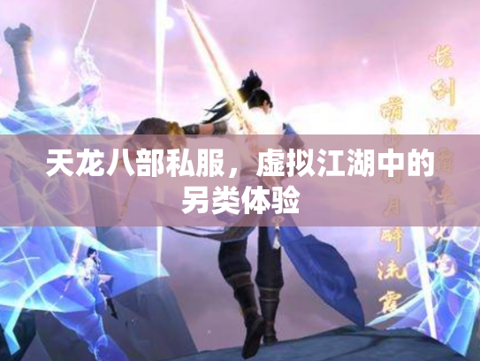 天龙八部私服，虚拟江湖中的另类体验