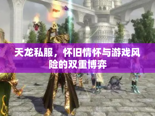 天龙私服，怀旧情怀与游戏风险的双重博弈