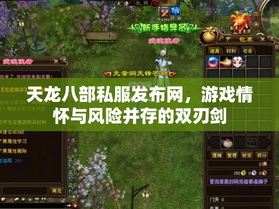 天龙八部私服发布网，游戏情怀与风险并存的双刃剑