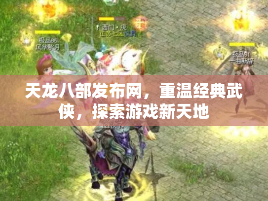 天龙八部发布网，重温经典武侠，探索游戏新天地