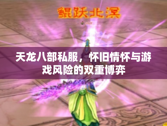 天龙八部私服，怀旧情怀与游戏风险的双重博弈