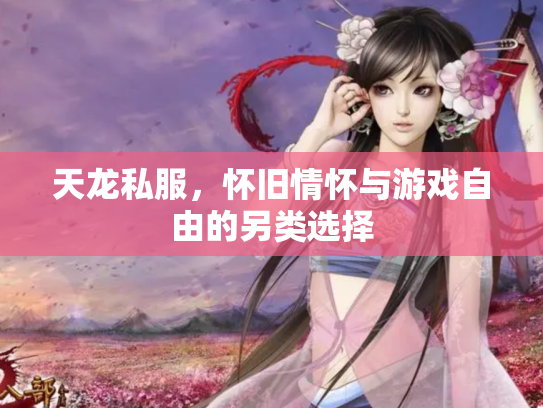 天龙私服，怀旧情怀与游戏自由的另类选择