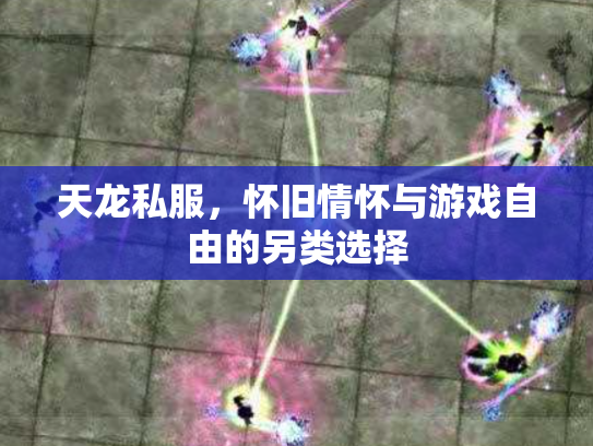 天龙私服，怀旧情怀与游戏自由的另类选择