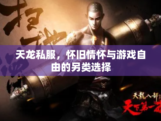 天龙私服，怀旧情怀与游戏自由的另类选择