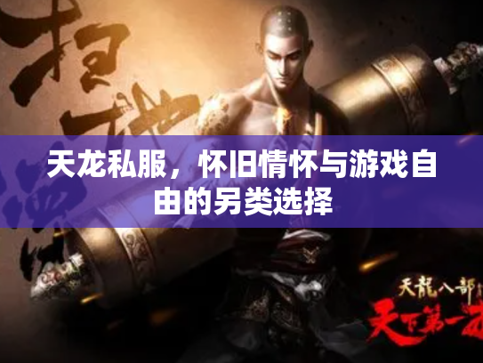 天龙私服，怀旧情怀与游戏自由的另类选择