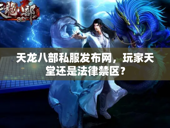 天龙八部私服发布网，玩家天堂还是法律禁区？
