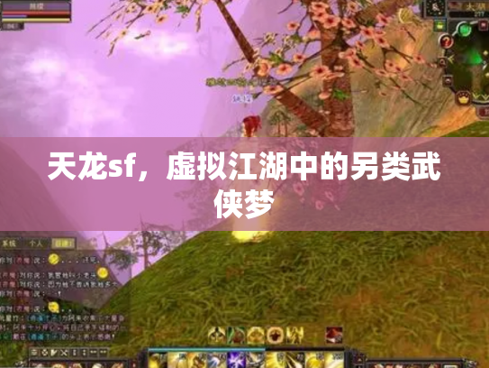 天龙sf，虚拟江湖中的另类武侠梦