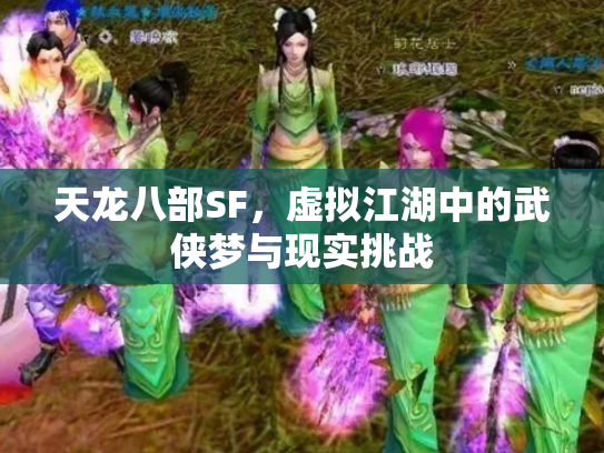 天龙八部SF，虚拟江湖中的武侠梦与现实挑战