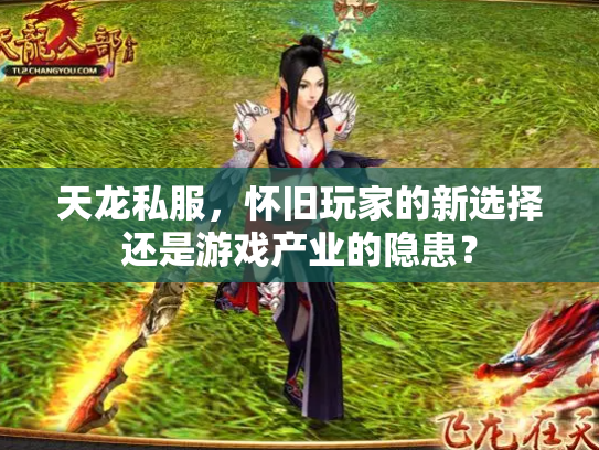 天龙私服，怀旧玩家的新选择还是游戏产业的隐患？