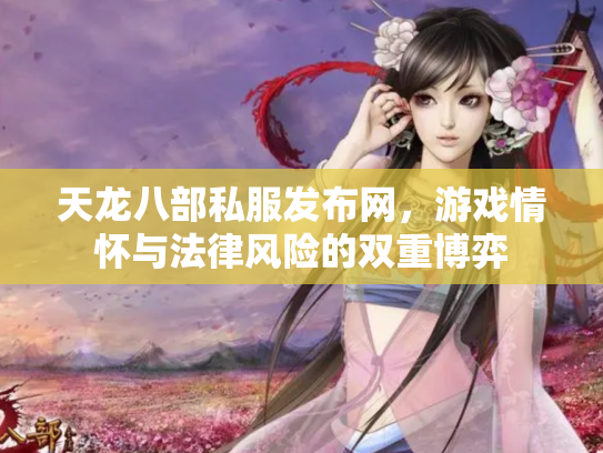天龙八部私服发布网，游戏情怀与法律风险的双重博弈