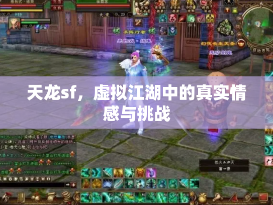 天龙sf，虚拟江湖中的真实情感与挑战