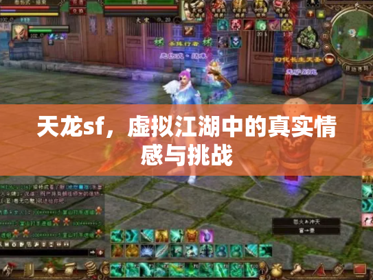 天龙sf，虚拟江湖中的真实情感与挑战