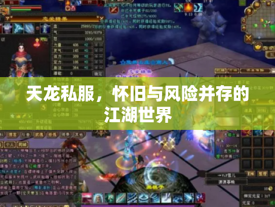 天龙私服，怀旧与风险并存的江湖世界