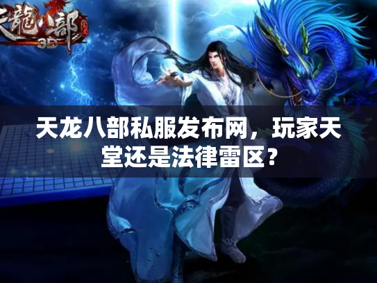 天龙八部私服发布网，玩家天堂还是法律雷区？