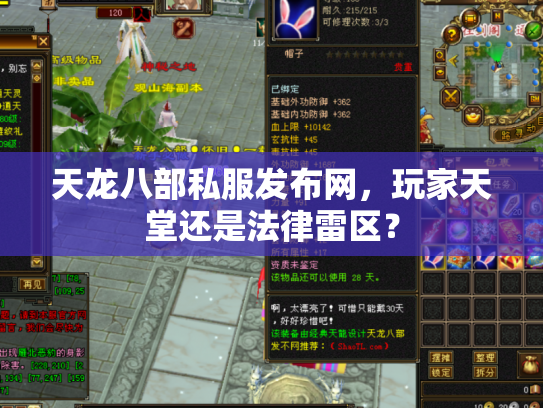 天龙八部私服发布网，玩家天堂还是法律雷区？