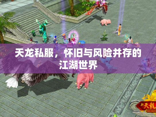 天龙私服，怀旧与风险并存的江湖世界