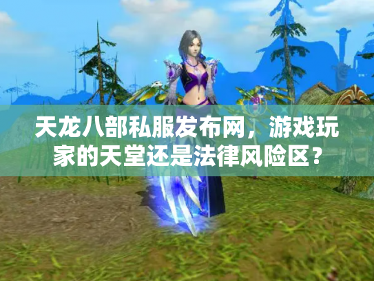 天龙八部私服发布网，游戏玩家的天堂还是法律风险区？