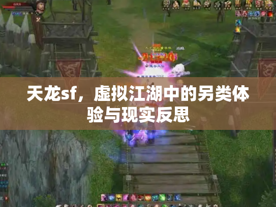 天龙sf，虚拟江湖中的另类体验与现实反思