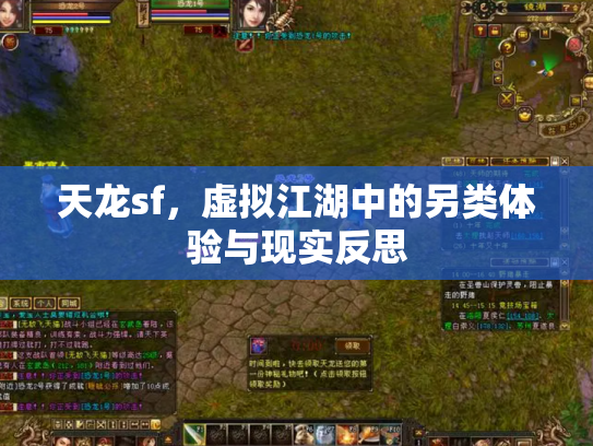 天龙sf，虚拟江湖中的另类体验与现实反思