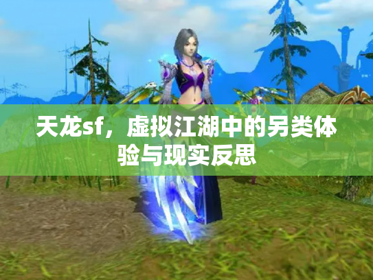 天龙sf，虚拟江湖中的另类体验与现实反思