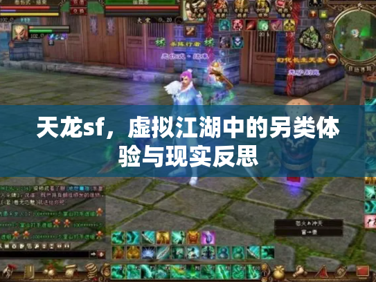 天龙sf，虚拟江湖中的另类体验与现实反思