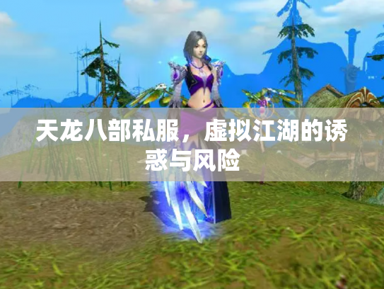 天龙八部私服，虚拟江湖的诱惑与风险