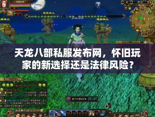 天龙八部私服发布网，怀旧玩家的新选择还是法律风险？