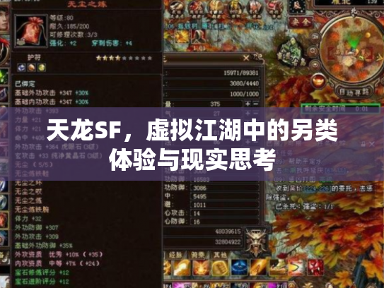 天龙SF，虚拟江湖中的另类体验与现实思考