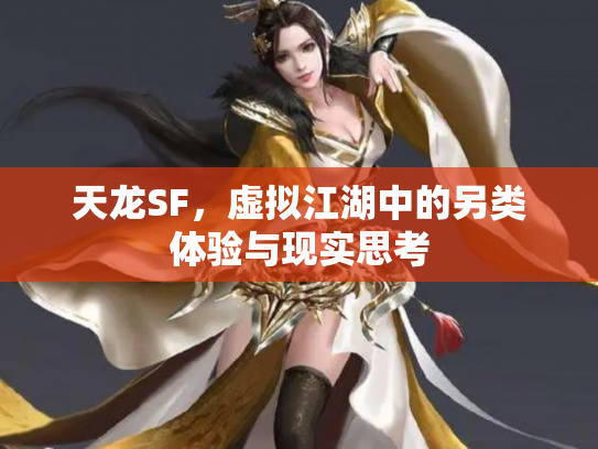 天龙SF，虚拟江湖中的另类体验与现实思考