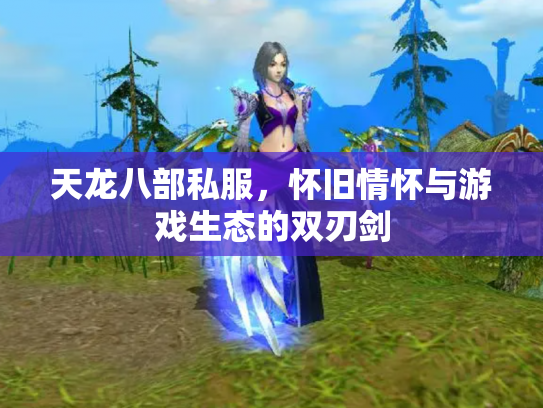 天龙八部私服，怀旧情怀与游戏生态的双刃剑