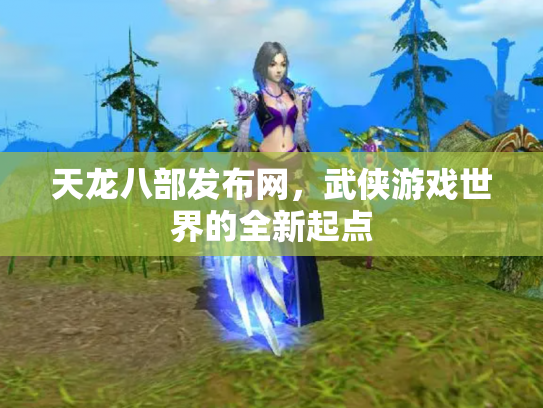 天龙八部发布网，武侠游戏世界的全新起点