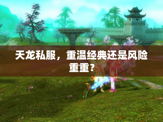 天龙私服，重温经典还是风险重重？