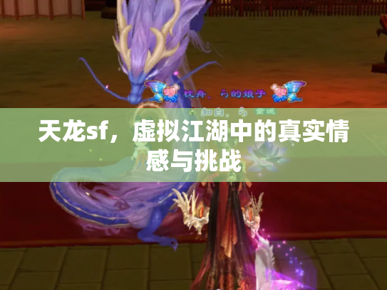 天龙sf，虚拟江湖中的真实情感与挑战