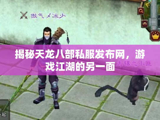 揭秘天龙八部私服发布网，游戏江湖的另一面