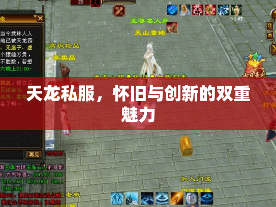 天龙私服，怀旧与创新的双重魅力