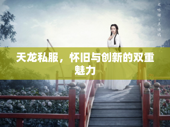 天龙私服，怀旧与创新的双重魅力