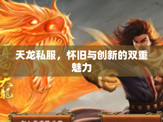 天龙私服，怀旧与创新的双重魅力